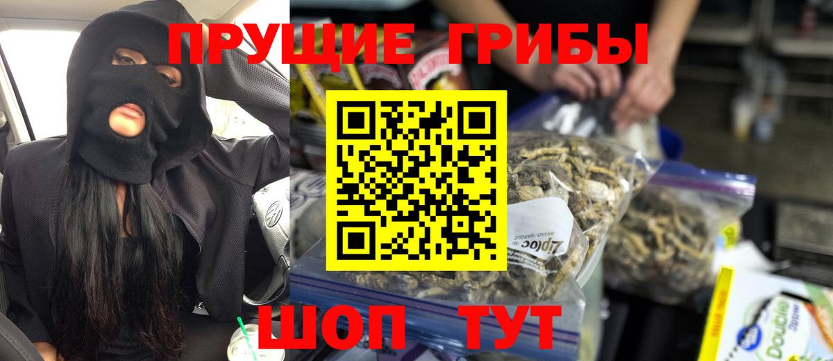 Галлюциногенные грибы MAGIC MUSHROOMS  Вход с VPN  Троицк 